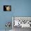 Asteroid Near Mars, Artwork-Detlev Van Ravenswaay-Photographic Print displayed on a wall
