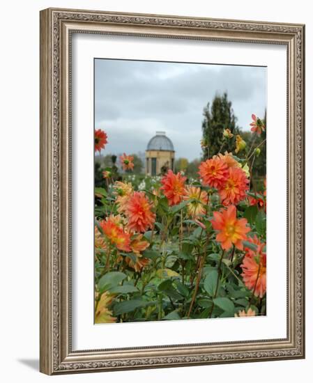 Asters and Dovecote in Gardens of Chateau de Cormatin, Burgundy, France-Lisa S. Engelbrecht-Framed Photographic Print