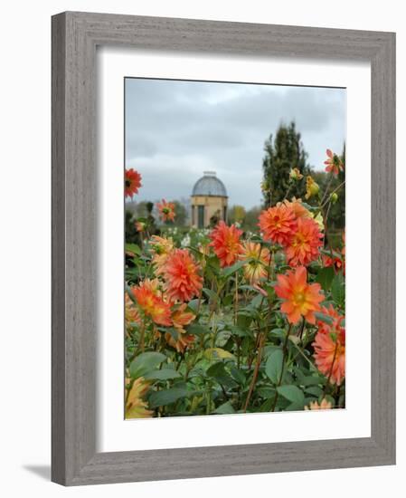 Asters and Dovecote in Gardens of Chateau de Cormatin, Burgundy, France-Lisa S. Engelbrecht-Framed Photographic Print