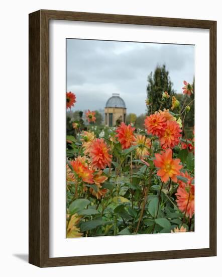 Asters and Dovecote in Gardens of Chateau de Cormatin, Burgundy, France-Lisa S. Engelbrecht-Framed Photographic Print