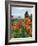 Asters and Dovecote in Gardens of Chateau de Cormatin, Burgundy, France-Lisa S. Engelbrecht-Framed Photographic Print