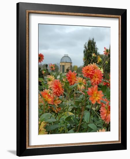Asters and Dovecote in Gardens of Chateau de Cormatin, Burgundy, France-Lisa S. Engelbrecht-Framed Photographic Print