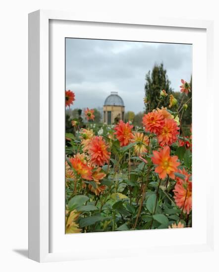 Asters and Dovecote in Gardens of Chateau de Cormatin, Burgundy, France-Lisa S. Engelbrecht-Framed Photographic Print