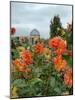 Asters and Dovecote in Gardens of Chateau de Cormatin, Burgundy, France-Lisa S. Engelbrecht-Mounted Photographic Print