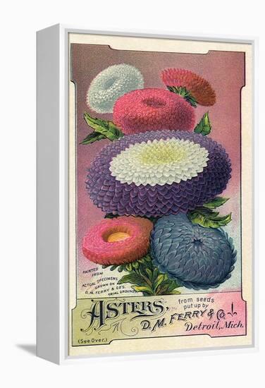 Asters Seed Packet, 1889-null-Framed Premier Image Canvas