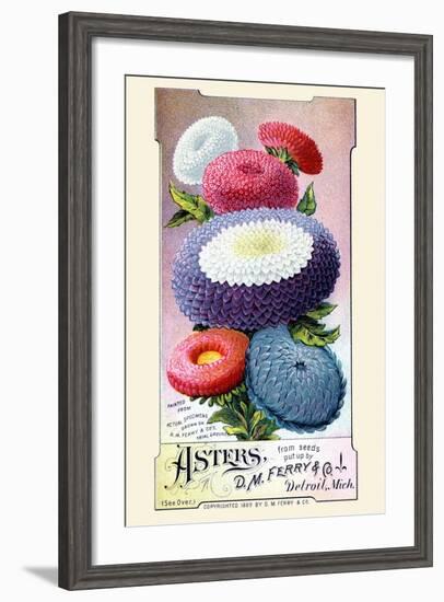 Asters-null-Framed Art Print