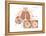 Asthma Attack-Encyclopaedia Britannica-Framed Stretched Canvas