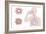 Asthma Pathology And Treatment, Diagram-Peter Gardiner-Framed Photographic Print