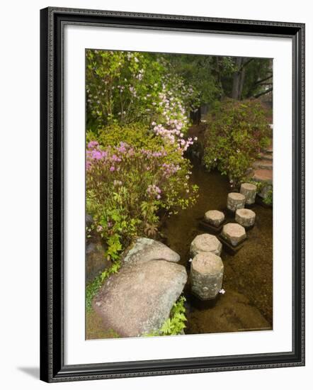 Asticou Azalea Gardens in Northeast Harbor, Mt. Desert Island, Maine, USA-Jerry & Marcy Monkman-Framed Photographic Print