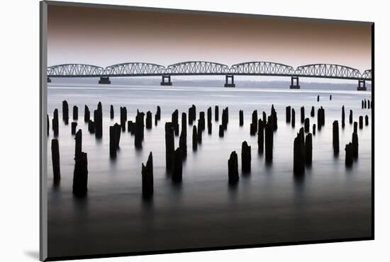 Astoria-Meglar Bridge-Art Wolfe-Mounted Art Print