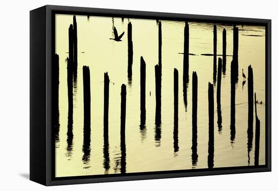 Astoria, Oregon-Art Wolfe-Framed Premier Image Canvas