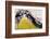 Astoria, Oregon-Art Wolfe-Framed Photographic Print