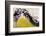 Astoria, Oregon-Art Wolfe-Framed Photographic Print