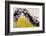 Astoria, Oregon-Art Wolfe-Framed Photographic Print