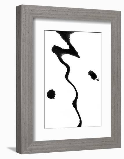 Astoria-Art Wolfe-Framed Photographic Print
