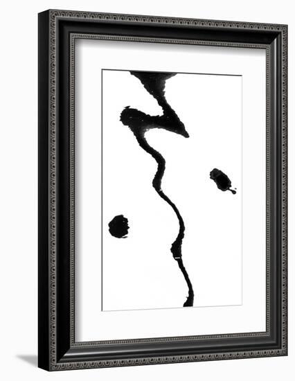 Astoria-Art Wolfe-Framed Photographic Print