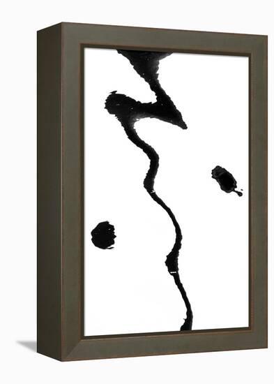 Astoria-Art Wolfe-Framed Premier Image Canvas