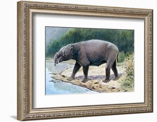 Astrapotherium--Framed Photographic Print