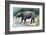 Astrapotherium-null-Framed Photographic Print