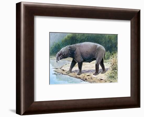 Astrapotherium-null-Framed Photographic Print