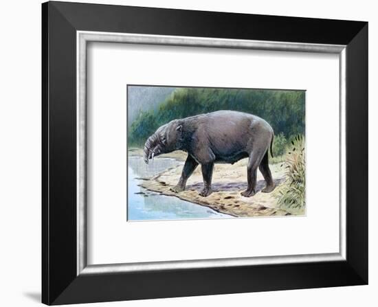 Astrapotherium-null-Framed Photographic Print