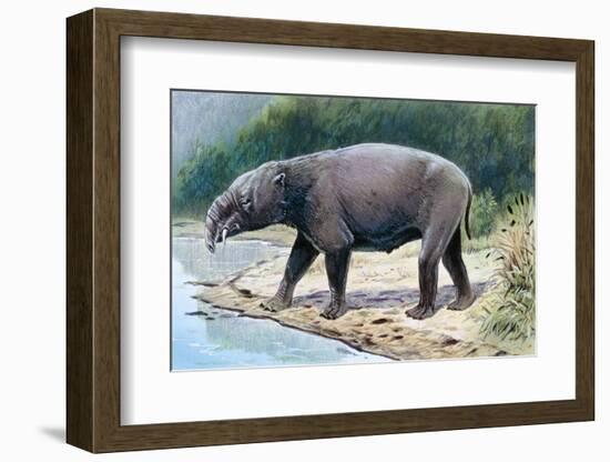 Astrapotherium-null-Framed Photographic Print