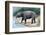 Astrapotherium-null-Framed Photographic Print