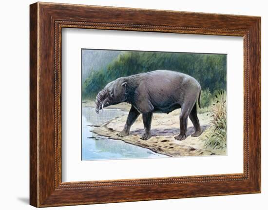 Astrapotherium-null-Framed Photographic Print