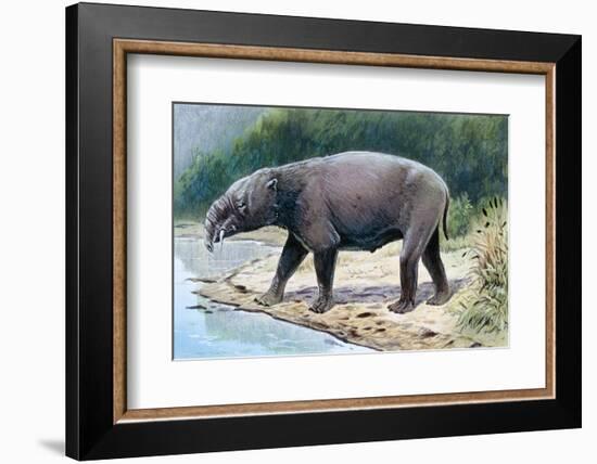 Astrapotherium-null-Framed Photographic Print