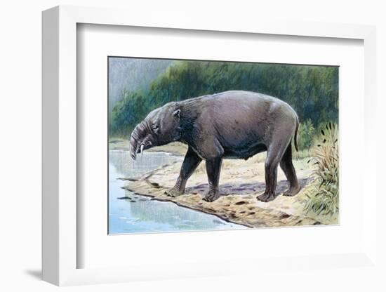 Astrapotherium-null-Framed Photographic Print