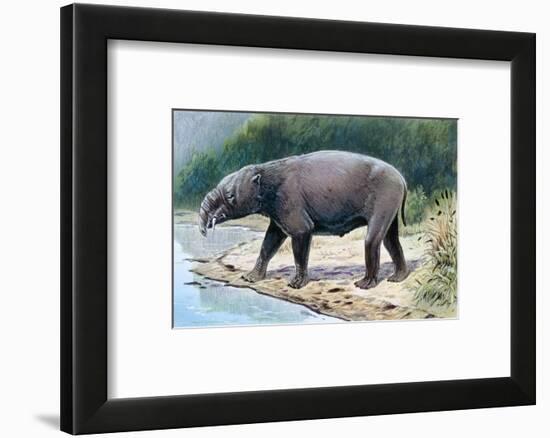 Astrapotherium-null-Framed Photographic Print