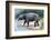 Astrapotherium-null-Framed Photographic Print