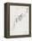 Astray; Verirrte-Paul Klee-Framed Premier Image Canvas