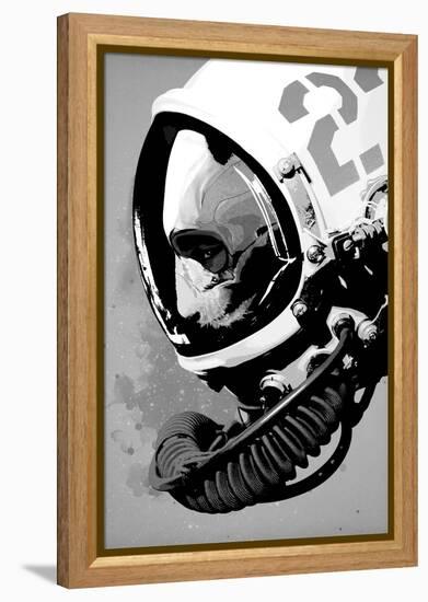 Astro Bear-Hidden Moves-Framed Stretched Canvas