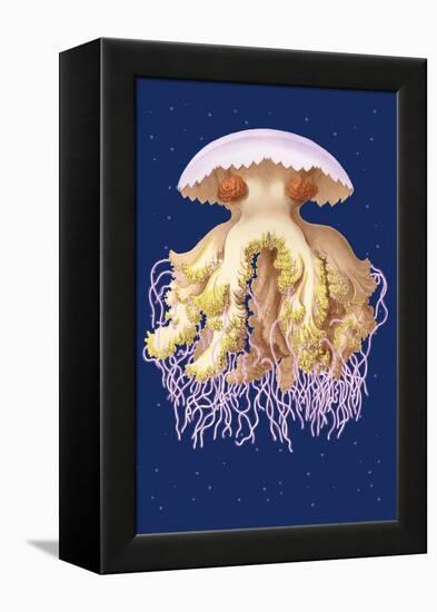 Astro-Jellyfish-Ernst Haeckel-Framed Stretched Canvas