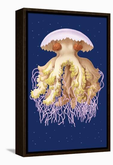 Astro-Jellyfish-Ernst Haeckel-Framed Stretched Canvas
