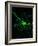 Astrocyte Nerve Cell-Riccardo Cassiani-ingoni-Framed Photographic Print