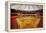 Astrodome Stadium-null-Framed Premier Image Canvas