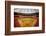 Astrodome Stadium-null-Framed Photographic Print