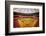 Astrodome Stadium-null-Framed Photographic Print