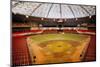 Astrodome Stadium-null-Mounted Photographic Print