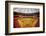 Astrodome Stadium-null-Framed Photographic Print