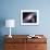 Astrology Astronomy Earth Outer Space Solar System Mars Planet Milky Way Galaxy. Elements of this I-NikoNomad-Framed Photographic Print displayed on a wall