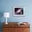Astrology Astronomy Earth Outer Space Solar System Mars Planet Milky Way Galaxy. Elements of this I-NikoNomad-Framed Photographic Print displayed on a wall