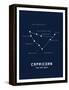 Astrology Chart Capricorn-null-Framed Stretched Canvas
