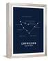 Astrology Chart Capricorn-null-Framed Stretched Canvas