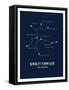 Astrology Chart Sagittarius-null-Framed Stretched Canvas