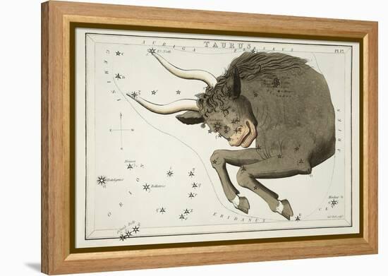 Astrology - Taurus-Sidney Hall-Framed Stretched Canvas