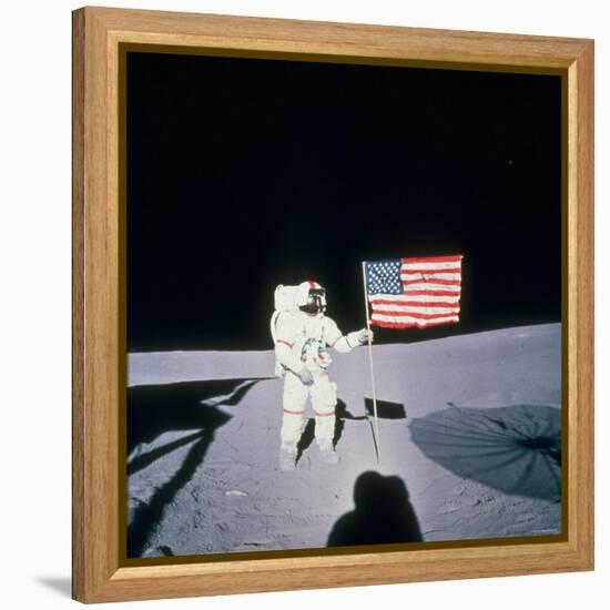 Astronaut Alan Shepard Planting American Flag on the Moon's Surface During Apollo 14 Mission-null-Framed Premier Image Canvas