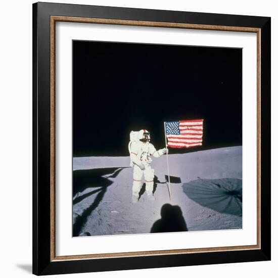 Astronaut Alan Shepard Planting American Flag on the Moon's Surface During Apollo 14 Mission-null-Framed Photographic Print